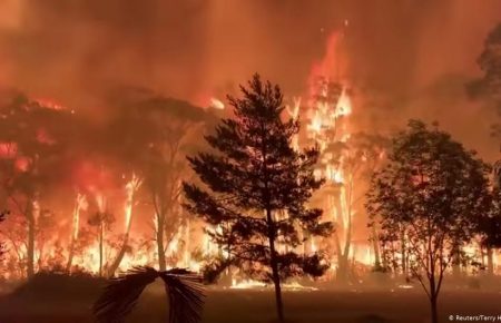 В Австралії загинув вогнеборець, пожежі тривають у чотирьох штатах