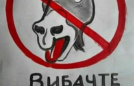 Казахстанці запустили у соцмережах флешмоб з вибаченнями за слова свого президента про Крим
