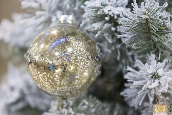 У столиці 19 грудня засвітять головну новорічну ялинку країни — КМДА