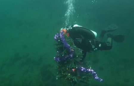 У Дніпрі дайвери встановили новорічну ялинку на дні кар'єру глибиною у 40 м