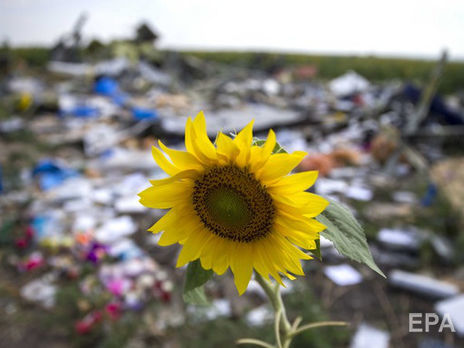 «Iron Butterflies». Ukraine's State Cinema Agency Plans Financing a Documentary on the Malaysian MH17 Crash