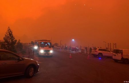 Лісові пожежі в Австралії: влада Канберри оголосила надзвичайну ситуацію