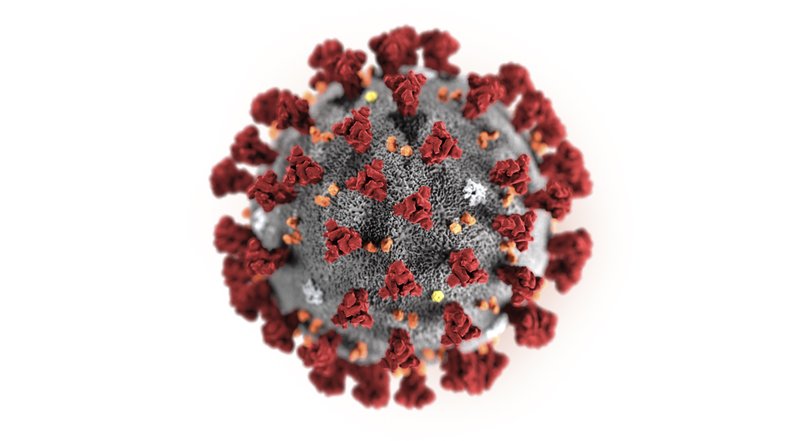 У США коронавірус вперше передався від людини до людини