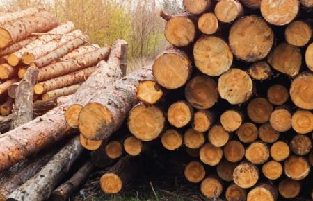 З 1 лютого в Україні має запрацювати централізований облік деревини — Гончарук