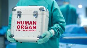 У Німеччині зберегли обмеження на вилучення органів у посмертних донорів