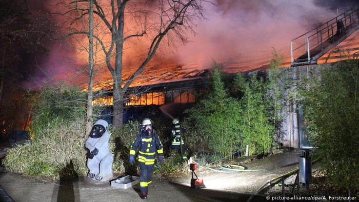 Пожежа в німецькому зоопарку: у підпалі зізналися дві сестри та їхня мати