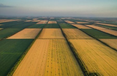 Дешева земля в Україні — міф, ми обігнали за орендними виплатами Польщу та Словаччину