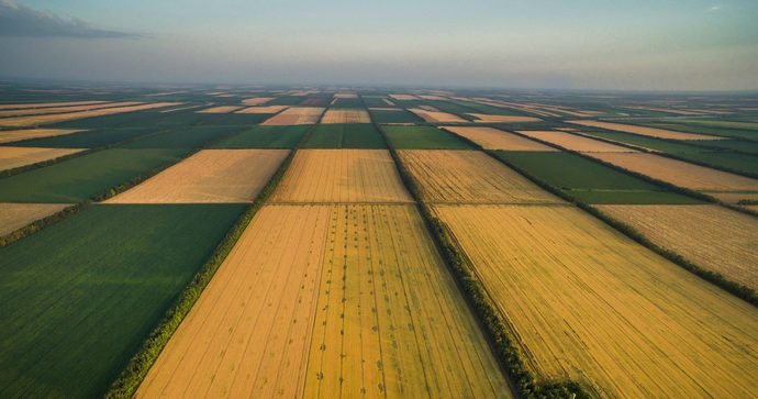 Дешева земля в Україні — міф, ми обігнали за орендними виплатами Польщу та Словаччину