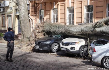 Буревій в Одесі: загинула жінка, на яку впало дерево
