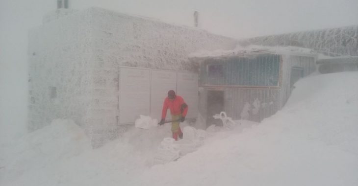 В Карпатах снежный шторм, туристов просят не идти в горы