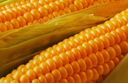 У 2019 році експорт агропродовольчої продукції з України збільшився на 19%