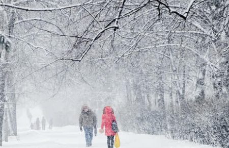 У Києві 5 лютого може випасти до 10 см снігу — КМДА 