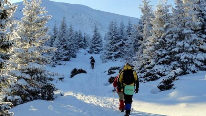 Рятувальники ввели онлайн-реєстрацію для туристів, які йдуть у гори