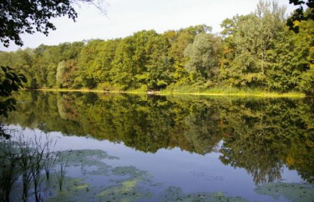 Екологи перевірили річки Дністер та Сіверський Донець на хімічні речовини: що виявили?