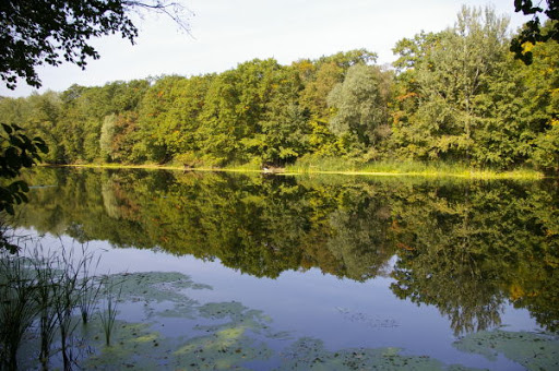Екологи перевірили річки Дністер та Сіверський Донець на хімічні речовини: що виявили?
