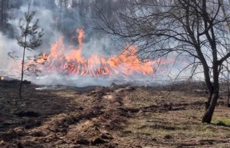 Згоріли 13 сіл біля Чорнобиля — голова «Chornobyl Now»