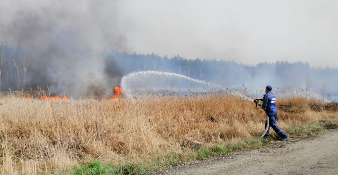 На Житомирщині загасили третину пожеж — МВС