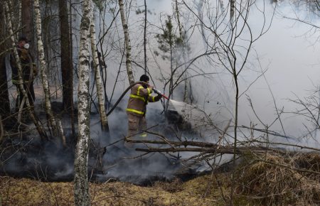 На Житомирщині та у Чорнобильській зоні продовжують гасити пожежі