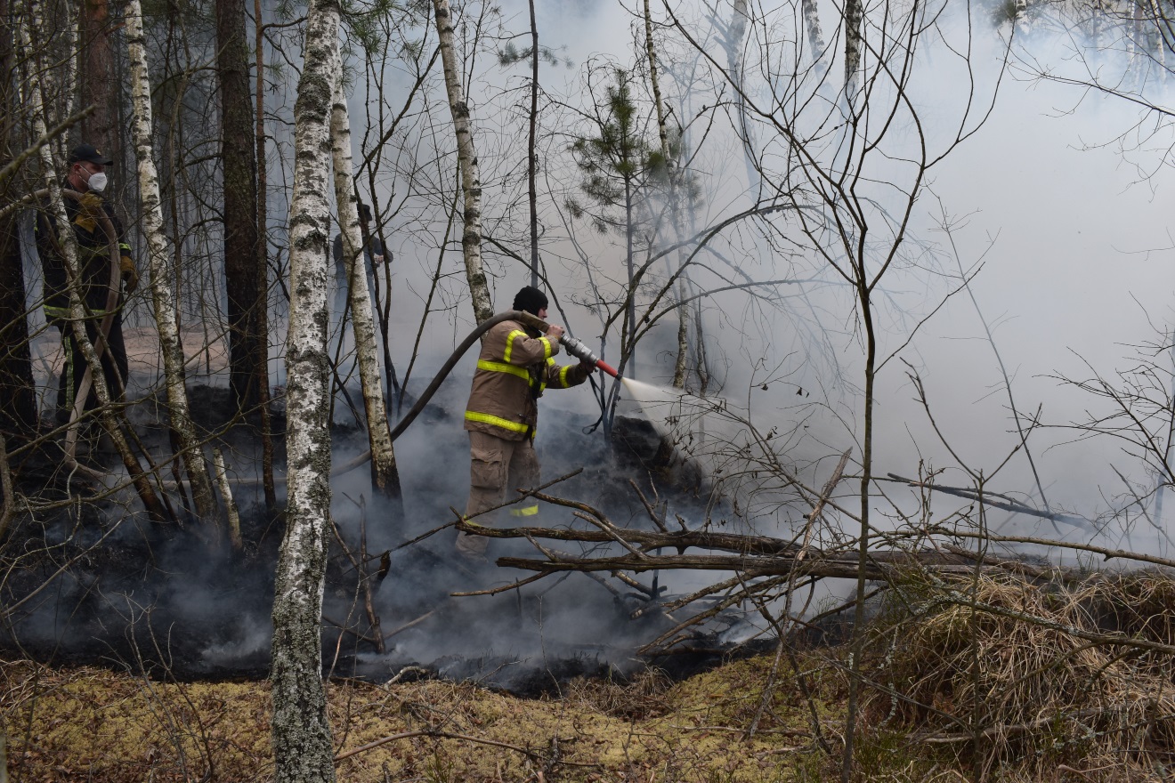 На Житомирщині та у Чорнобильській зоні продовжують гасити пожежі