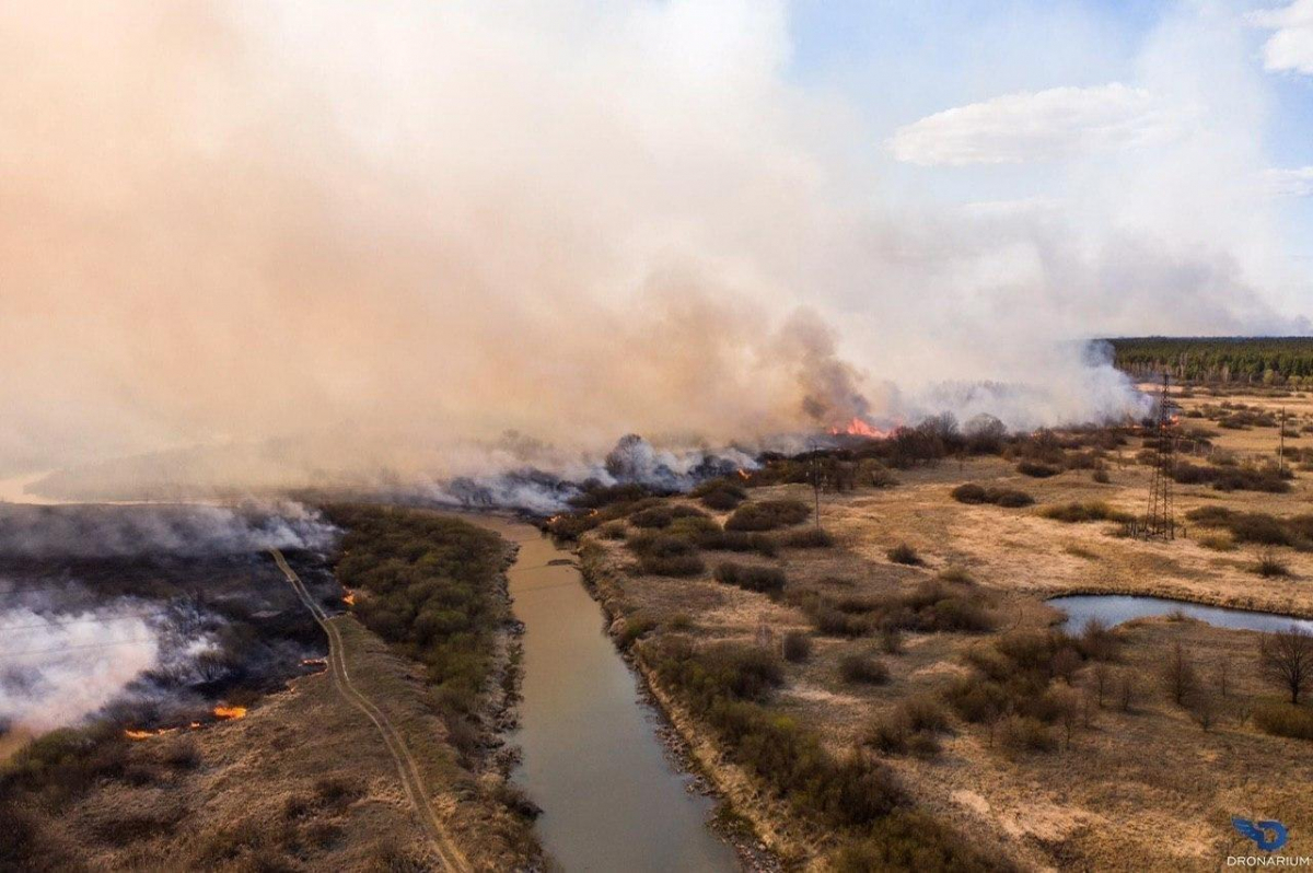 Уряд виділив майже 45 млн грн на гасіння пожеж у зоні відчуження