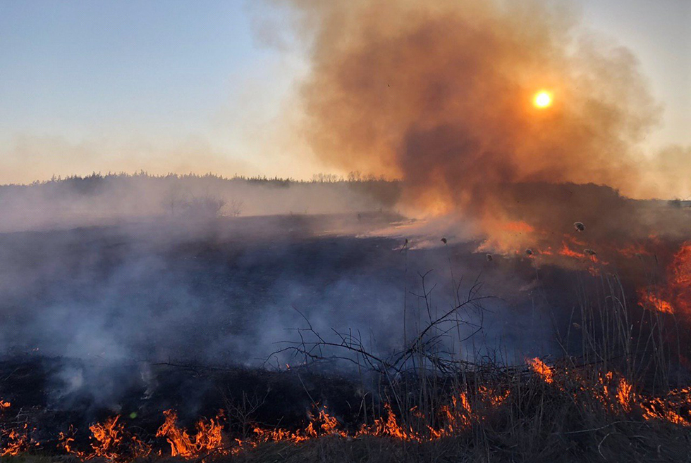 У Чорнобильській зоні досі намагаються загасити пожежу