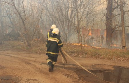 Горять червонокнижні види: голова товариства лісівників про причини і наслідки лісових пожеж