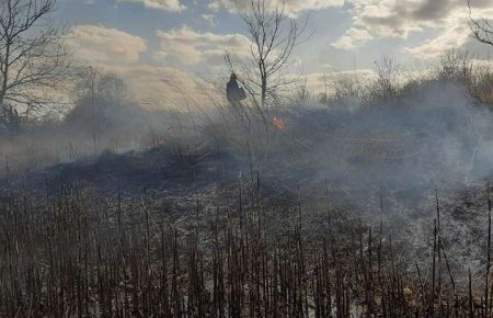 У Чорнобильській зоні виникли нові осередки вогню