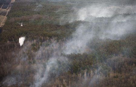 ДСНС: У Чорнобильській зоні відчуження локалізували пожежу, відбувається тління лісової підстилки