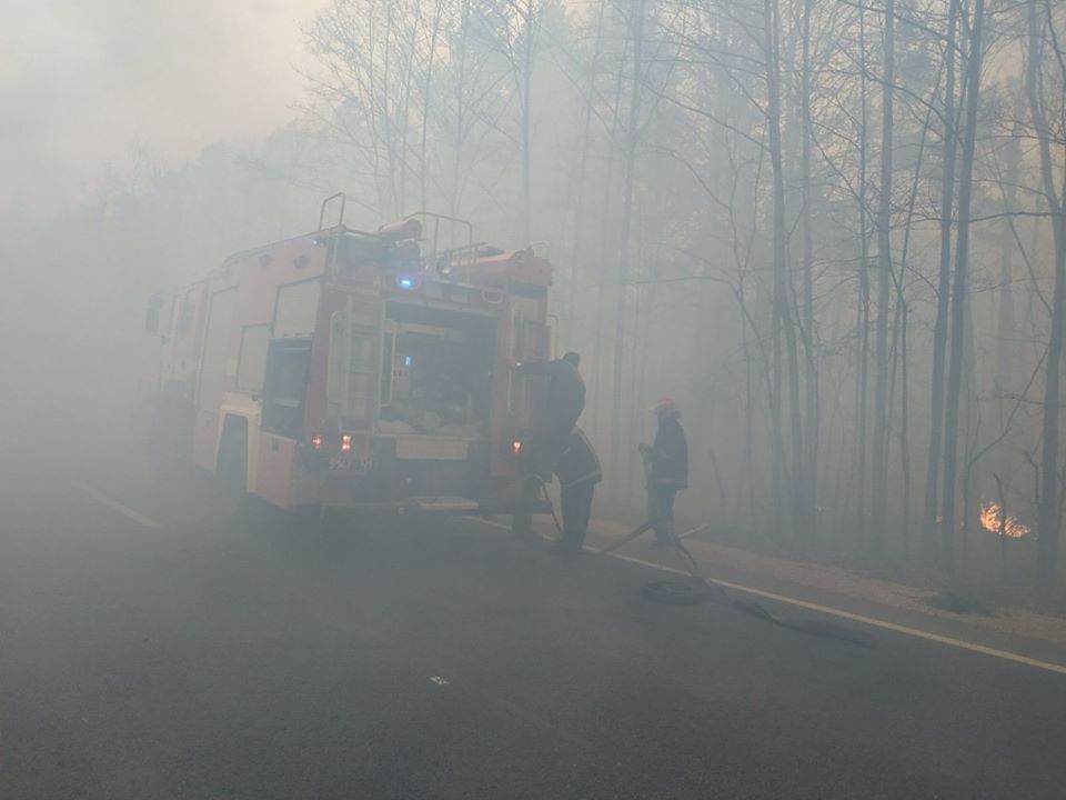 На Житомирщині продовжують гасити пожежі у двох лісництвах