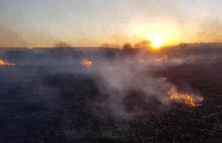 На Тернопільщині ліквідували пожежу в орнітологічному заказнику