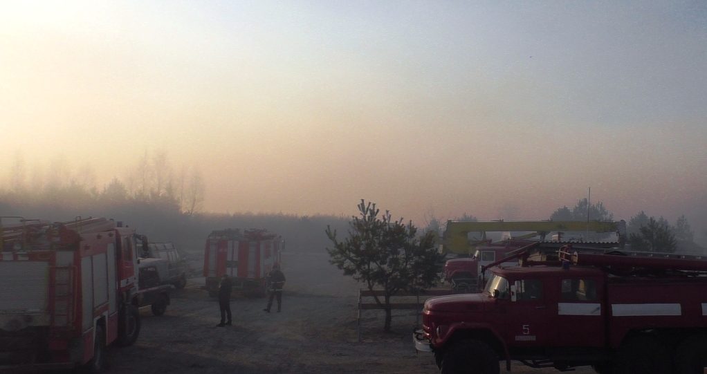 На Чернігівщині пожежа охопила 200 гектарів лісу (фото)