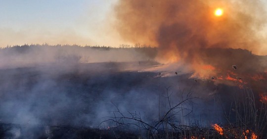 Пожежа дісталася території Чорнобильської АЕС – Ємельяненко