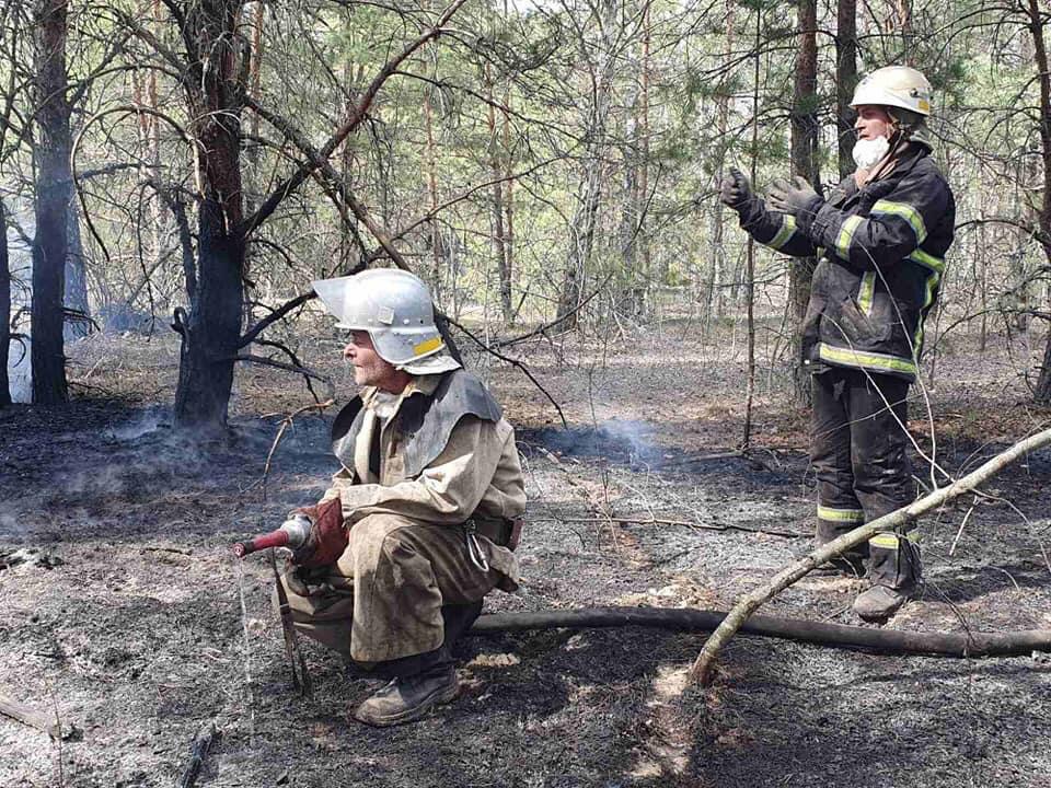 На Житомирщині локалізували лісову пожежу