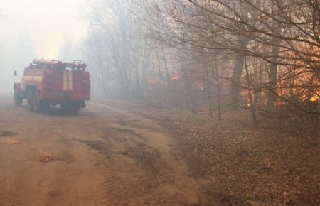 Рятувальники продовжують гасити осередки загоряння в Чорнобильській зоні і Житомирській області