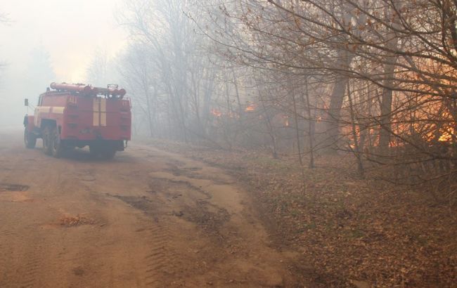 Рятувальники продовжують гасити осередки загоряння в Чорнобильській зоні і Житомирській області