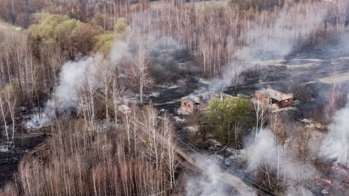 У Чорнобильській зоні загасили усі осередки пожежі