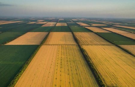 Нардепы разблокировали подписание закона о рынке земли в Украине