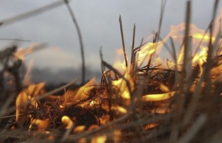 У пожежі на Житомирщині загинула 79-річна жінка, яка підпалила сухостій