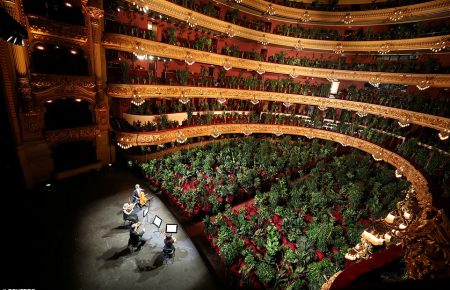 Опера Барселони зіграла концерт для 2292 кімнатних рослин