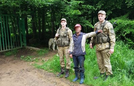Румынский пастух заблудился и с отарой незаконно попал на территорию Украины