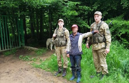 Румунський пастух заблукав і з отарою незаконно потрапив на територію України