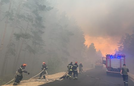 На Луганщині тривають лісові пожежі: евакуюють жителів селищ Вовче та Смолянинове