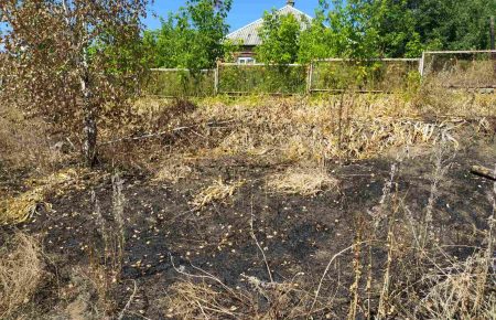 На Харківщині унаслідок паління сухої трави загинула 78-річна жінка