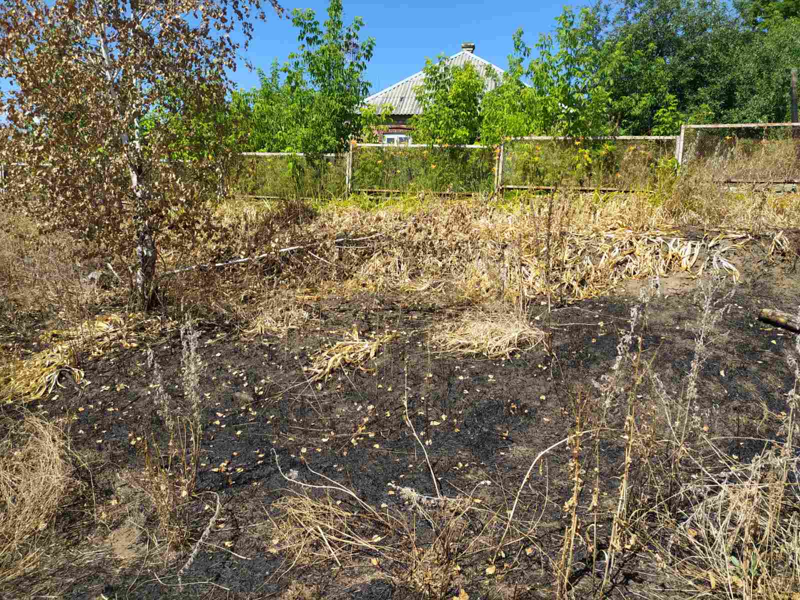 На Харківщині унаслідок паління сухої трави загинула 78-річна жінка