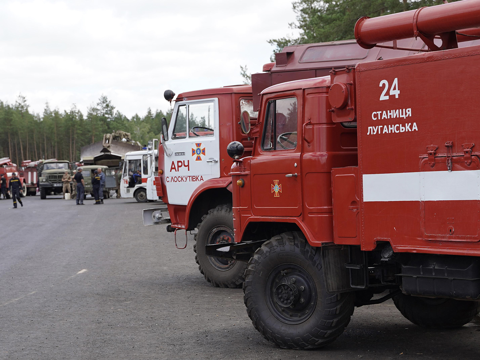 На місці лісової пожежі у Луганській області відкритого горіння не спостерігається — ДСНС