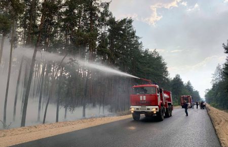 На Луганщині внаслідок обстрілу бойовиків загорівся ліс