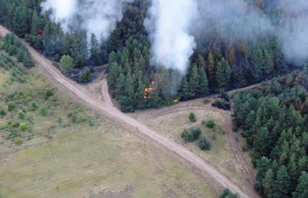 На Луганщині локалізували лісову пожежу
