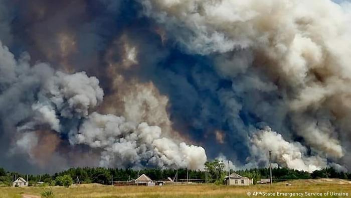 На Луганщині ліквідували лісову пожежу, що виникла 6 липня — ДСНС