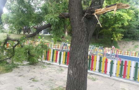 Во время урагана в Одессе деревья упали на людей, два человека в больнице