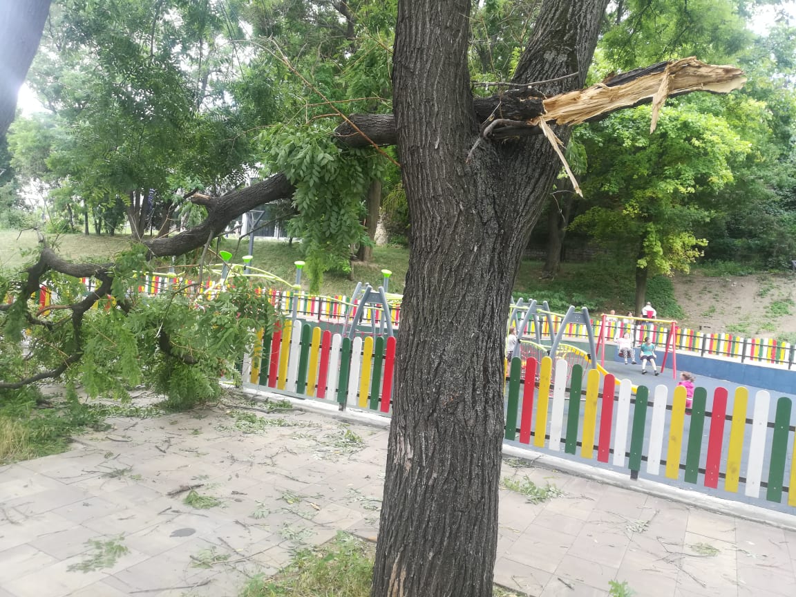 Під час буревію в Одесі дерева впали на людей, двоє містян у лікарні
